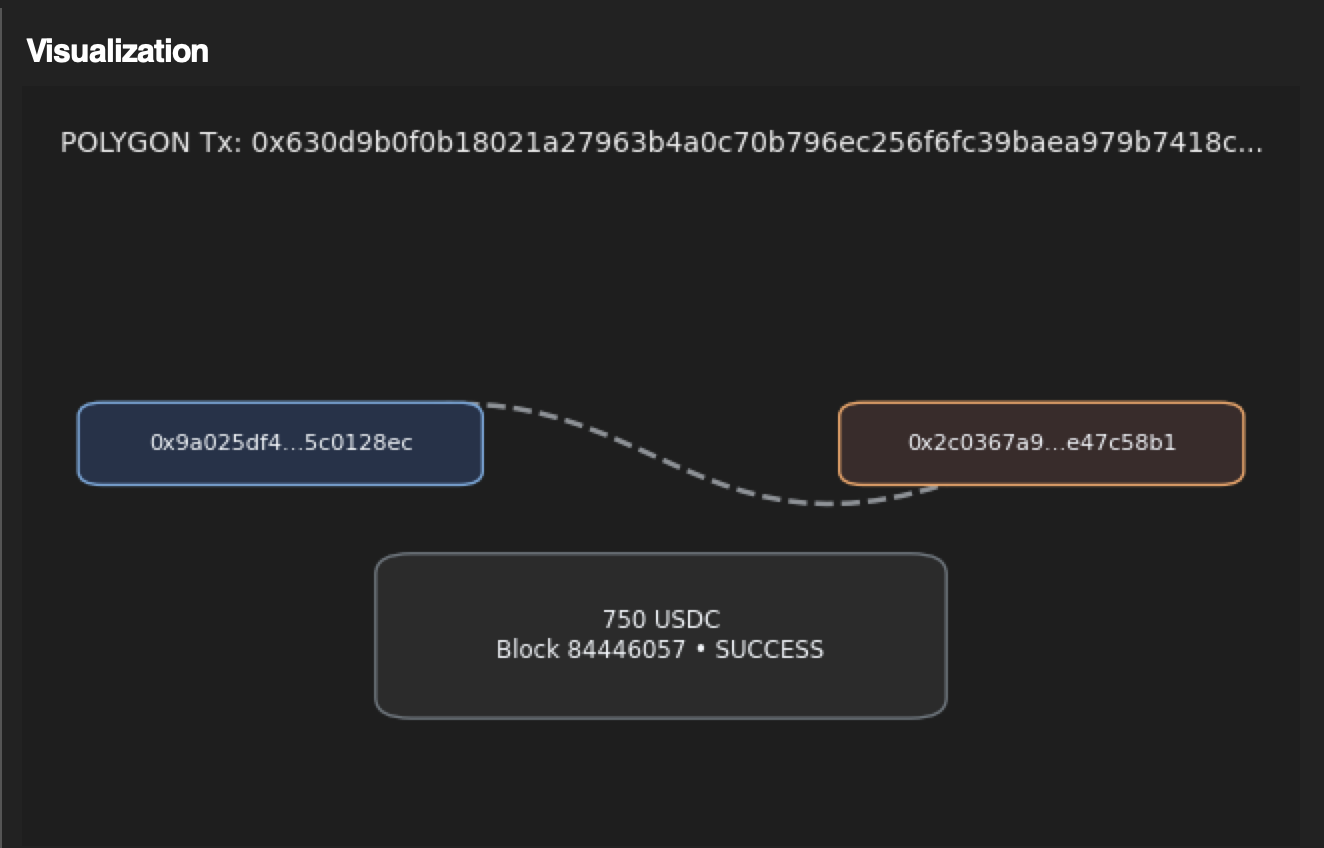 CRA Lite Polygon transaction visualization